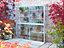 Westminster 5 Feet Small Greenhouse - Aluminium/Glass - L151 x W33 x H172 cm - Chestnut Brown