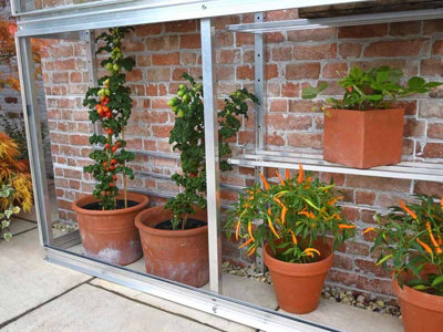 Westminster 5 Feet Small Greenhouse - Aluminium/Glass - L151 x W33 x H172 cm - Without Coating