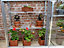 Westminster Half 5 Feet Small Greenhouse - Aluminium/Glass - L151 x W33 x H91 cm - Without Coating