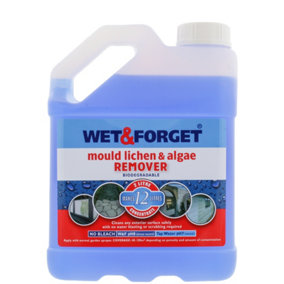 Wet & Forget Mould, Lichen & Algae Remover, Outdoor Cleaning Solution, Black Mould Remover, Bleach Free, 2 Litre