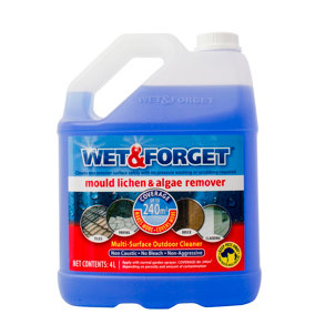 Wet & Forget Mould, Lichen & Algae Remover, Outdoor Cleaning Solution, Black Mould Remover, Bleach Free, 4 Litre