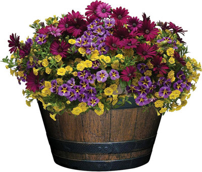 Whiskey Barrel Brunt Wood Planter Pot - Walnut