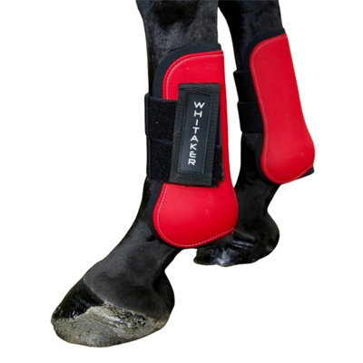 Whitaker clearance tendon boots