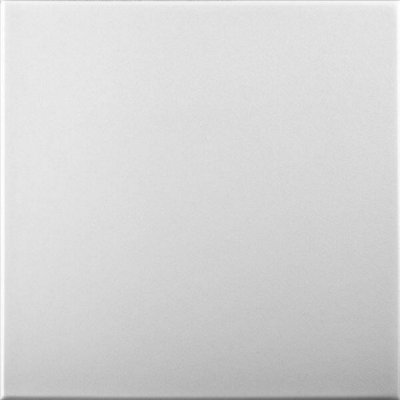 White Blank: Decorative Ceiling and Wall Panels 2m2 (21.52 sqft) - 8 Panels