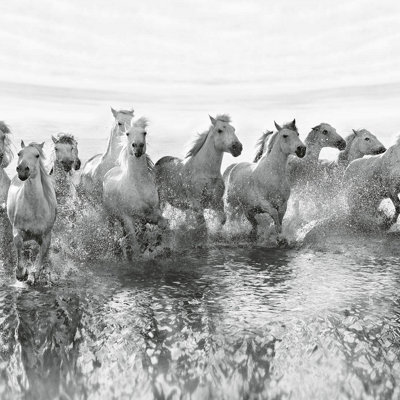 White Horses Mural - 384x260cm - 5111-8