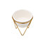 White Modern Ceramic Tabletop Planter with Gold Metal Stand 135 x 150 mm