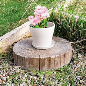 White Plastic Plant Pot - Weatherproof Colourful Home or Garden Planter with Drainage Holes & Saucer - H10.5 x 9cm Diameter