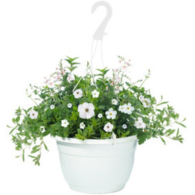 White Shades Hanging Basket: Serene White Blooms, Outdoor Elegance (25cm)