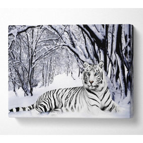 White Tiger In The Snow Canvas Print Wall Art - Medium 20 x 32 Inches