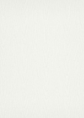 White Wooden Pattern Wallpaper