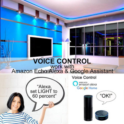 Wi-Fi RGB LED Strip Smart Controller APP and Voice Control