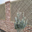 Wienerberger Olde Wells Rustica - Pack of 200 Bricks Delivered Nationwide by Brickhunter.com
