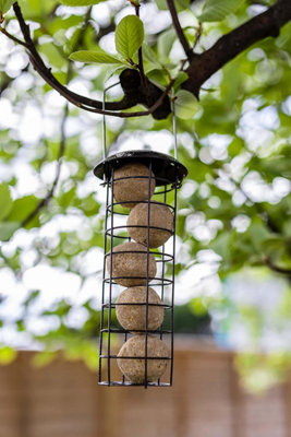 Wild Bird Fat Ball Feeders - Metal Mounted Station Bird Feeder Hanging