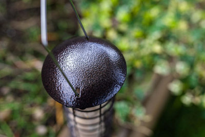 Wild Bird Fat Ball Feeders - Metal Mounted Station Bird Feeder Hanging