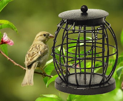 Wild Bird Hanging Lantern Fat Ball Feeder - 3
