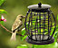 Wild Bird Hanging Lantern Fat Ball Feeder