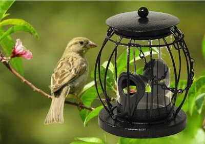 Wild Bird Hanging Lantern Seed Bird Feeder