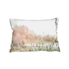 Wild Daisies Outdoor Cushion / 30cm x 45cm