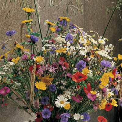 Wild Flower Cornfield Annuals Mixed 1 Seed Packet (20g Seeds) - 3