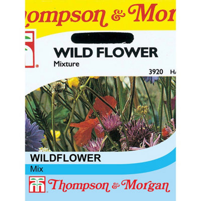 Wild Flower Mixture 1 Seed Packet (1 gram) - 4