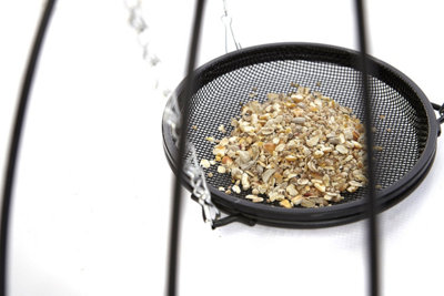 Wild Garden Bird Ground Feeding Cage Garden Metal Mesh Feeder Safe Haven Large - 5