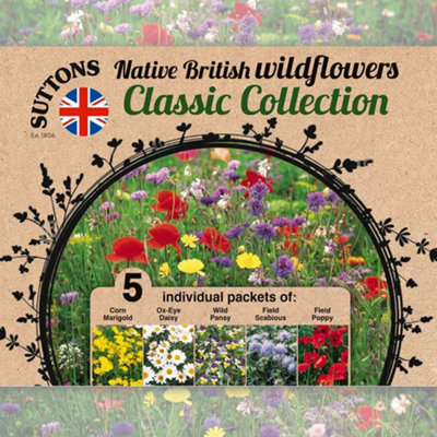 Wildflower Collection - 5 Seed Packets