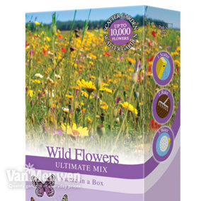 Wildflower Seeds for The Garden - Grow Your Own Wild Flower Seed Mix Poppies, Meadow Flowers & Grasses Bee Friendly Blooms