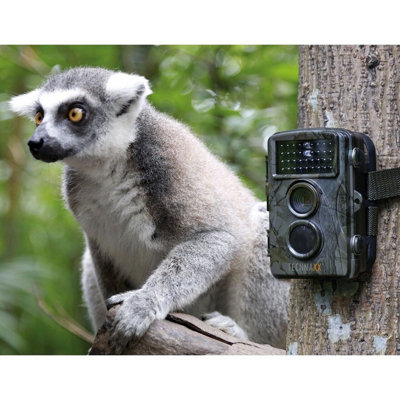 Motion activated night vision best sale camera wildlife