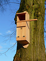 Wildlife World Tawny Owl Box - Made in Our UK Workshop