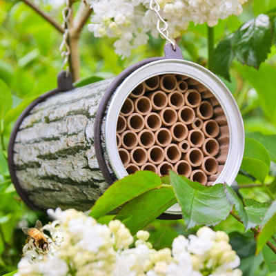 Wildlife World The Pollinating Company Bee Nester Price Comparisons | Compare The Build
