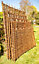 Willow Hurdle Fence Panel Premium Weave Woven Screening  6ft x 4ft