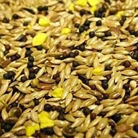 Willsbridge Deluxe Canary Seed Mixture Bird Food 20kg