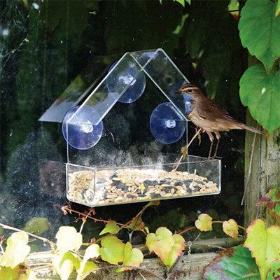 Window Bird Feeder with Seed Tray - 7