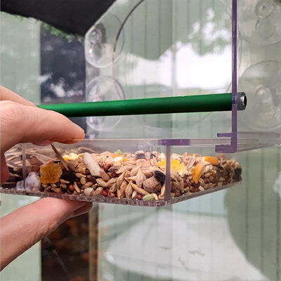Window Bird Feeder with Strong Suction Cups, Removable Drainage Tray ...