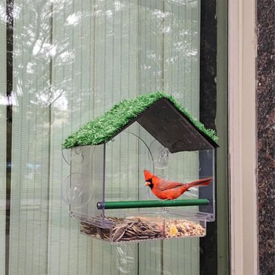 Window Bird Feeder with Strong Suction Cups, Removable Drainage Tray ...