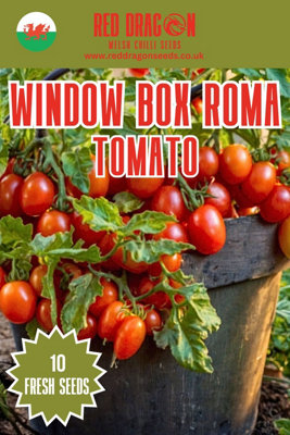 Window Box Roma Tomato Seeds - 10 Fresh Seeds