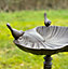 Windsor Decorative Cast Iron Bird Bath
