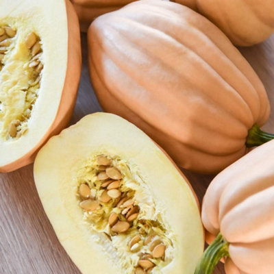 Winter Squash Baked Potatoes 1 Packet (12 Seeds) - 4