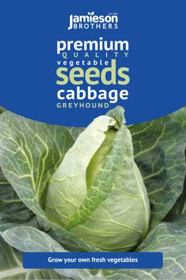 Winter Vegetable Seeds Bundle - 6 varieties - Over 6400 Seeds by Jamieson Brothers - 4
