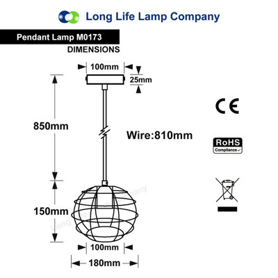 Wire Cage Globe Black Metal Pendant Light M0173