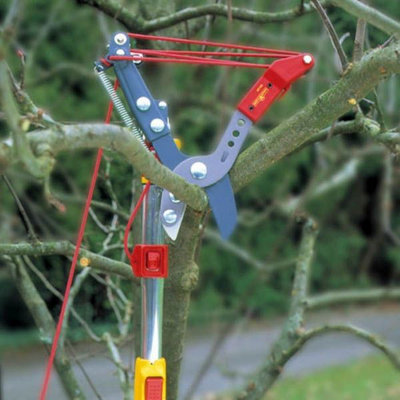 Wolf Garten Adjustable Anvil Tree Loppers RCVM Garden & ZMV4 Telescopic Handle
