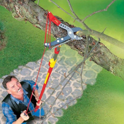 Wolf Garten Adjustable Anvil Tree Loppers RCVM Garden & ZMV4 Telescopic Handle - 3