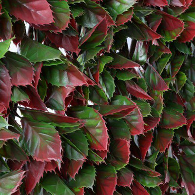 Wonderwal Garden Artificial Trellis Red Variegated Beech 2m x 1m