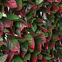 Wonderwal Garden Artificial Trellis Red Variegated Beech 2m x 1m