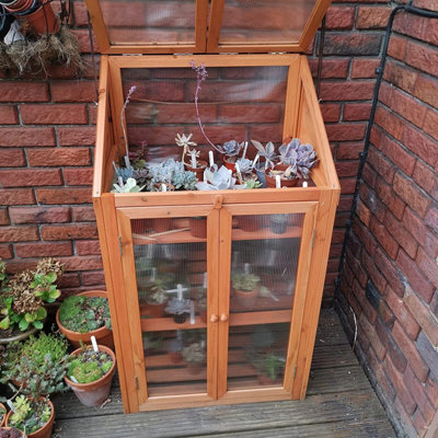 Wooden 3 Tier Mini Greenhouse with Doors - 7