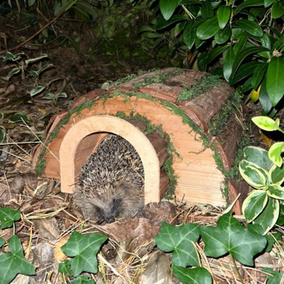 Wooden Barkwood Hogitat Hedgehog House Shelter - 6