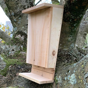 Wooden Bat Box with Landing Perch