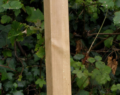 Wooden Fence Post for Fencing Screening and Hurdles 1.8m