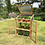 Wooden Framed Polycarbonate Growhouse Mini Greenhouse