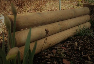 Wooden Garden Fixed Border Lawn Edging Horizontal Panels Log Roll 210mm high Pack of 3